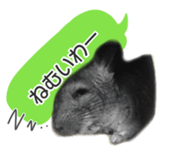 chinchilla's cute sticker vol.2 sticker #15858722