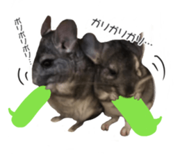 chinchilla's cute sticker vol.2 sticker #15858724