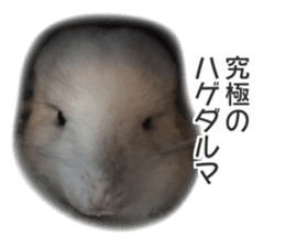 chinchilla's cute sticker vol.2 sticker #15858725