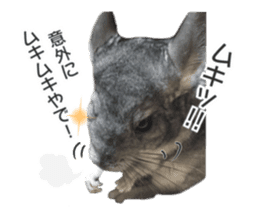 chinchilla's cute sticker vol.2 sticker #15858726