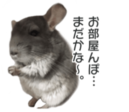 chinchilla's cute sticker vol.2 sticker #15858727