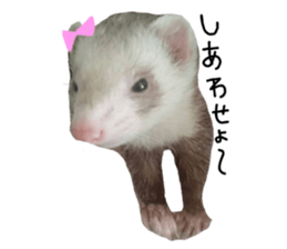 motepoyo ferret everyday life sticker #15859303
