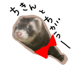 motepoyo ferret everyday life sticker #15859306