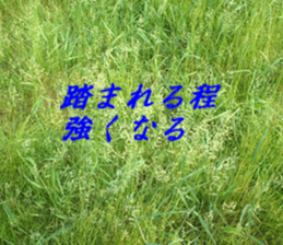 Landscape and heart sticker #15859315