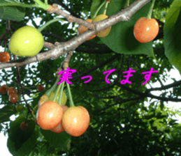 Landscape and heart sticker #15859320