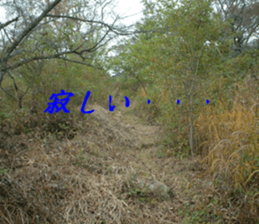 Landscape and heart sticker #15859322