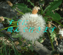 Landscape and heart sticker #15859324