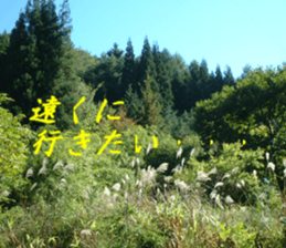 Landscape and heart sticker #15859325