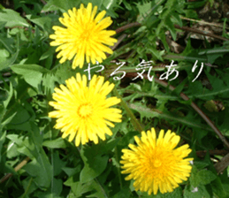 Landscape and heart sticker #15859326