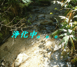 Landscape and heart sticker #15859329