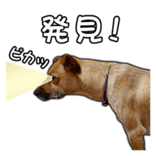 Dog dog kotaro sticker Vol.2 sticker #15859389