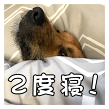 Dog dog kotaro sticker Vol.2 sticker #15859399