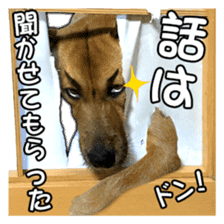 Dog dog kotaro sticker Vol.2 sticker #15859406