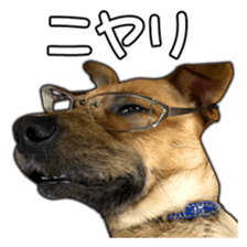 Dog dog kotaro sticker Vol.2 sticker #15859409