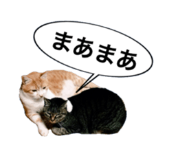 sakie fam Sticker sticker #15860691