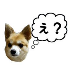 sakie fam Sticker sticker #15860693