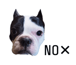 sakie fam Sticker sticker #15860697