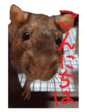 Facial rich mouse sticker #15860882