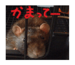 Facial rich mouse sticker #15860883