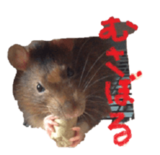 Facial rich mouse sticker #15860884