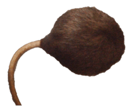 Facial rich mouse sticker #15860885