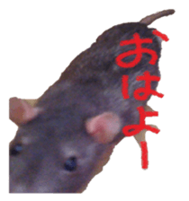 Facial rich mouse sticker #15860886
