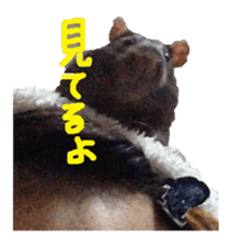 Facial rich mouse sticker #15860887