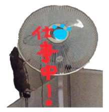 Facial rich mouse sticker #15860888