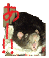Facial rich mouse sticker #15860890