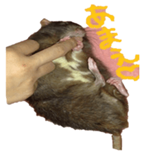 Facial rich mouse sticker #15860891