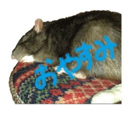 Facial rich mouse sticker #15860894