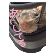 Facial rich mouse sticker #15860895