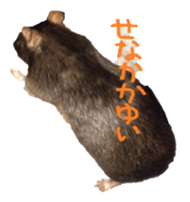 Facial rich mouse sticker #15860897