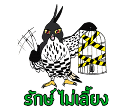 Raptors of Thailand sticker #15860986