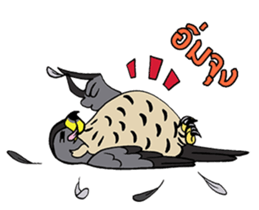 Raptors of Thailand sticker #15860995