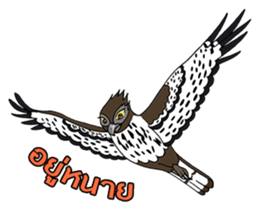 Raptors of Thailand sticker #15861025