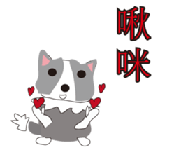 Sweet baby (border collie and rabbit) sticker #15863392