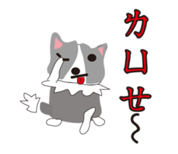 Sweet baby (border collie and rabbit) sticker #15863395