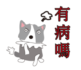 Sweet baby (border collie and rabbit) sticker #15863404