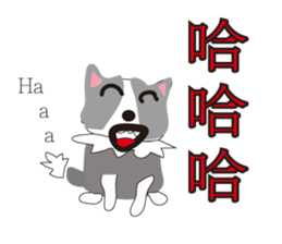 Sweet baby (border collie and rabbit) sticker #15863406