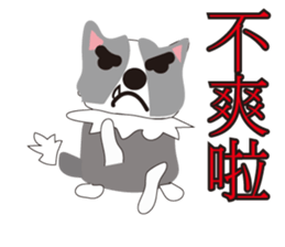 Sweet baby (border collie and rabbit) sticker #15863407