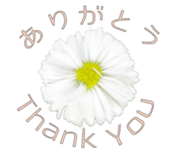 Live action.flowers with gratitude sticker #15863650