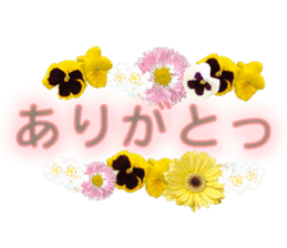 Live action.flowers with gratitude sticker #15863657