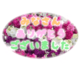 Live action.flowers with gratitude sticker #15863662
