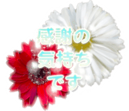 Live action.flowers with gratitude sticker #15863667