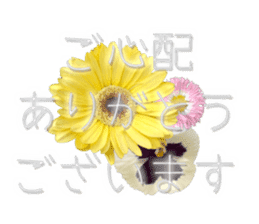 Live action.flowers with gratitude sticker #15863676