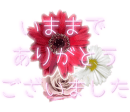 Live action.flowers with gratitude sticker #15863677