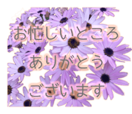 Live action.flowers with gratitude sticker #15863678