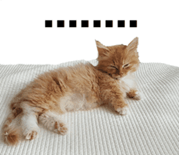 Nants ingonyama~ Simba sticker #15863973