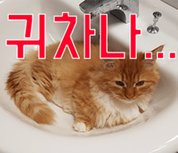 Nants ingonyama~ Simba sticker #15863975